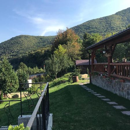 Hotel La Butuci à Tîrgu Ocna Extérieur photo